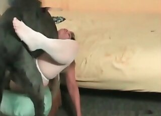 Pussy juices licked up by a sexy-ass doggo