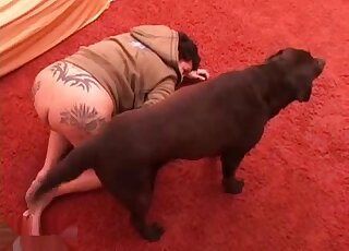 Redcocked creature fucks an overweight BBW gal