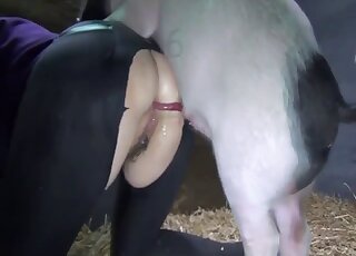 Nicely Videos / wife animal porn / Most popular Page 1