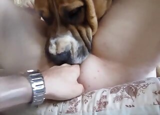 Dirty animal enjoys hardcore oral with a zoophile