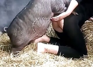 Gorgeous cock gets to fuck that juicy hole