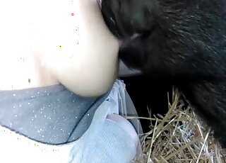 Animal porno pig