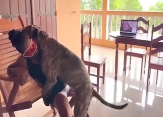 Cuckold records the way his wife fucks a dog