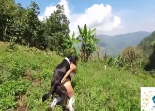 Wet pussy brunette gets fucked by white dog