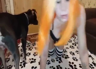 فتاة ذات شعر أشقر تريد ممارسة الجنس مع وحش أسود