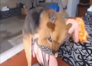 Goodlooking blonde lady wants dog to fuck her