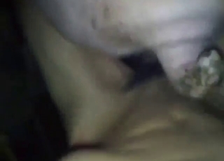 Dude with a hairy boner tries to gape that pig