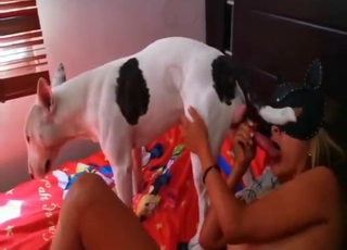 Deep blowjob crazy doggystyle with a dog