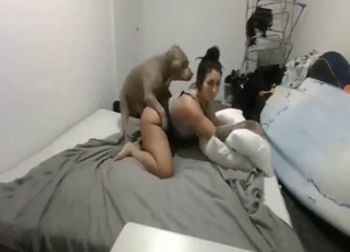 Dogloving whore needed that cock inside