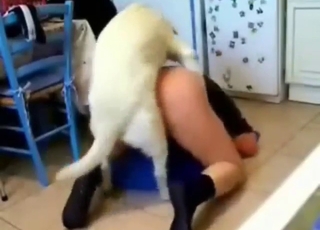 Dude with a round booty licked and assfucked