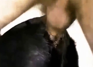 Zoo porn movie with dog pussy getting gaped