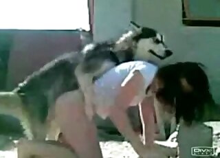 Husky babe sexy video