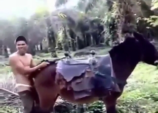 Hire this dude to fuck EVERY mule he can find