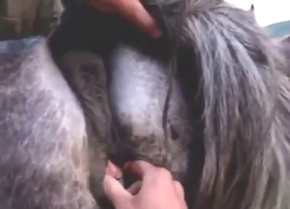 Mare pussy as awesome as this needs gape
