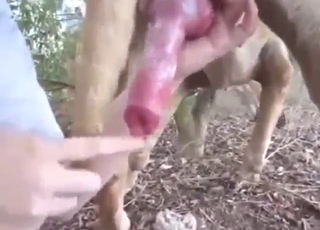 Deep throat queen working that dogs shaft