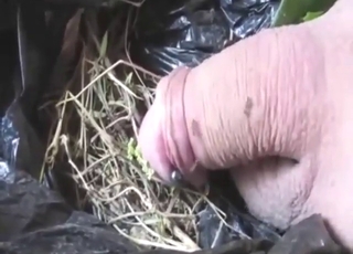 Ant sa chystá aby sa jeho penis cítil tak tak dobre