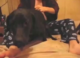 Cowgirl bestiality sex with a hot animal riding