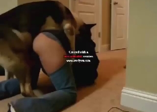 Casual homemade zoo sex with real thrusting