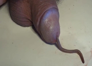 Un ver va sortir de sa bite