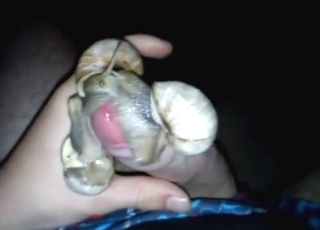 Dude has a bunch of snails ALL over his boner