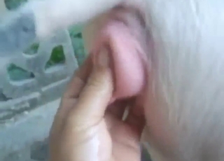 pig pussy gets so wet all thanks to fingering