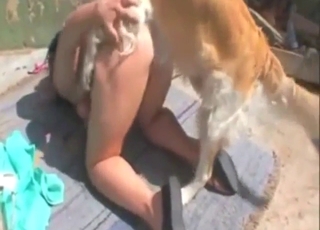 Moaning brunette wife cums with dog outside