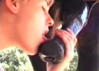 عاهرة تمص قضيب حصان ستستمني وتئن وتقذف