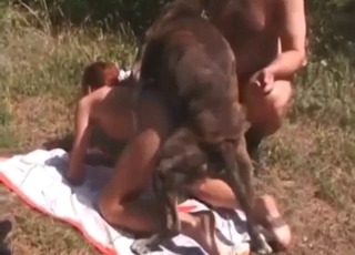 كلب بيتبول يمزق فرج فتاة في الخارج