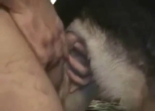 Dude shows why this beast deserves to cum