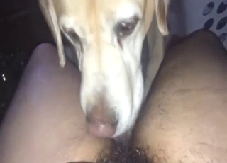Fuckbeast is going to tongue that hairy asshole