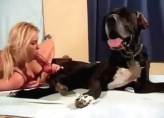 Bestiality with a ravishing BBW blondie