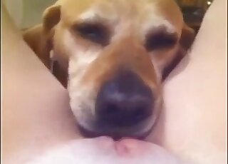 Sweet dog licks her wide-opened tight cunt