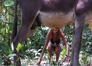 Gorgeous outdoor oral sex with a sweetie